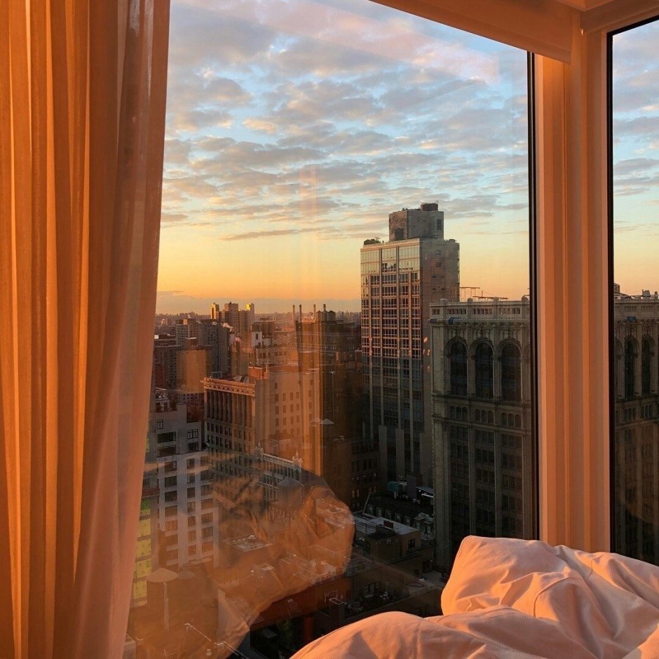 Окно с красивым видом