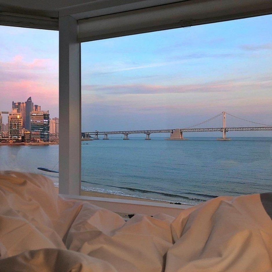 Вид из окна