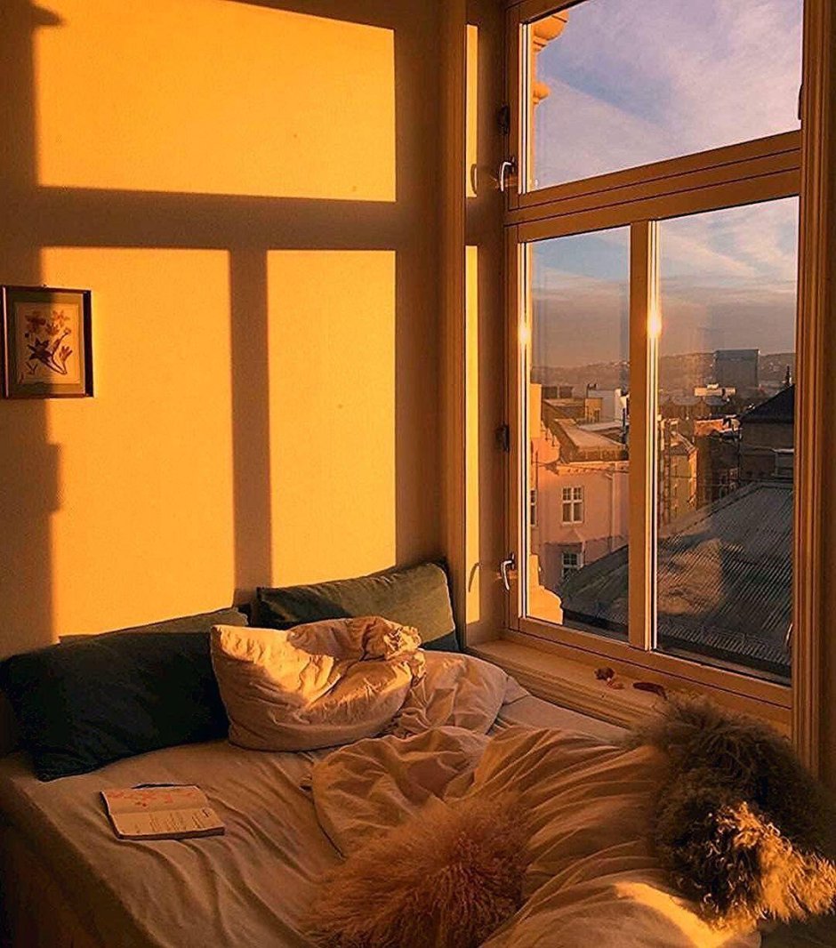 Красивый вид из окна квартиры