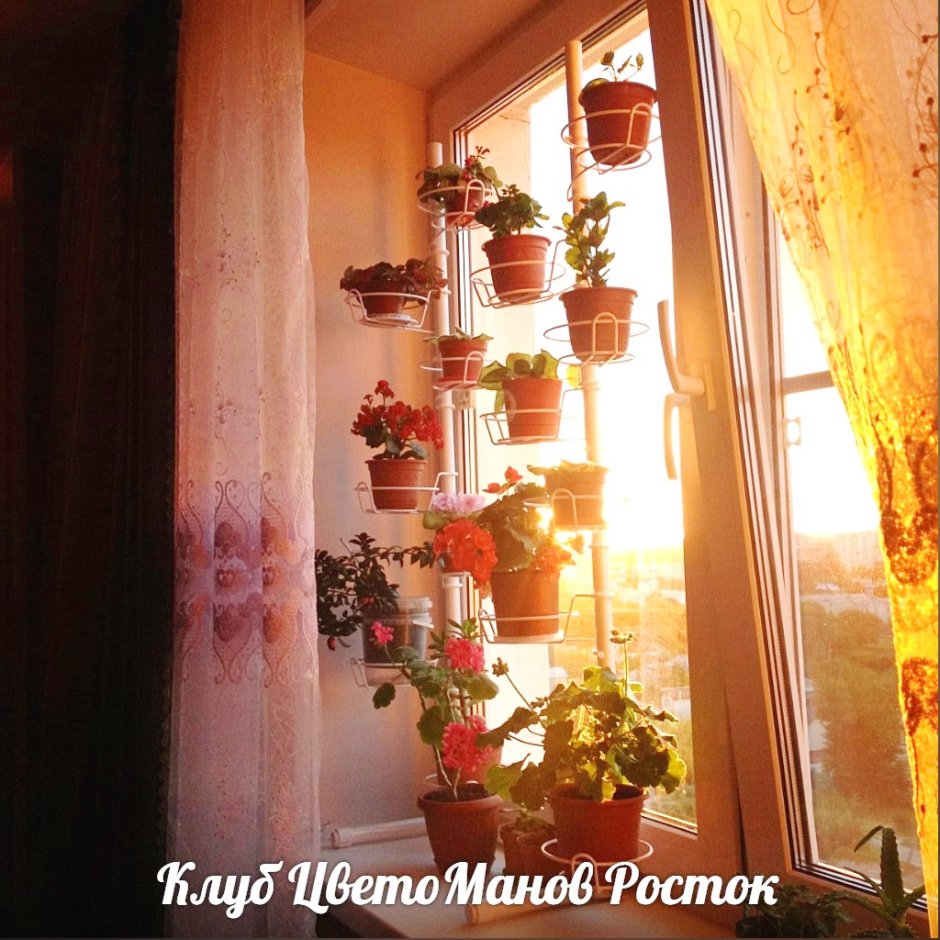 Стеллаж для цветов на подоконник