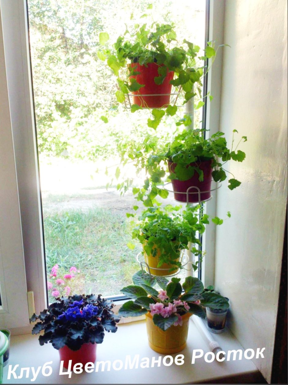 Угловая подставка для цветов Акация на 7 горшков