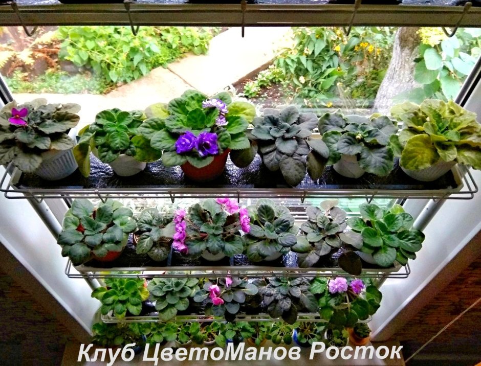 Полочки для цветов на подоконник