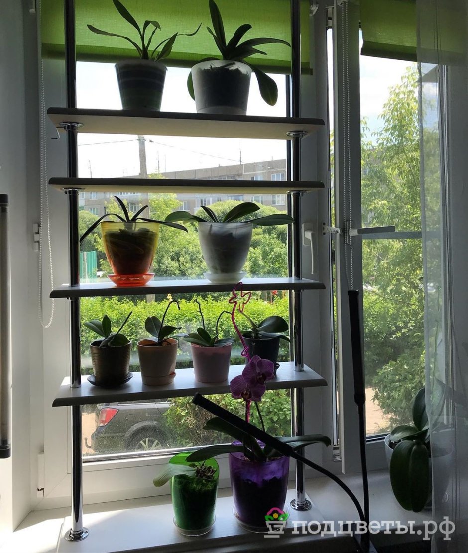 Стеллаж Хедера для растений и рассады
