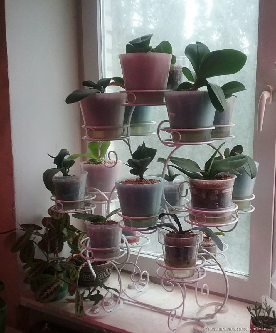 Стеллаж для цветов