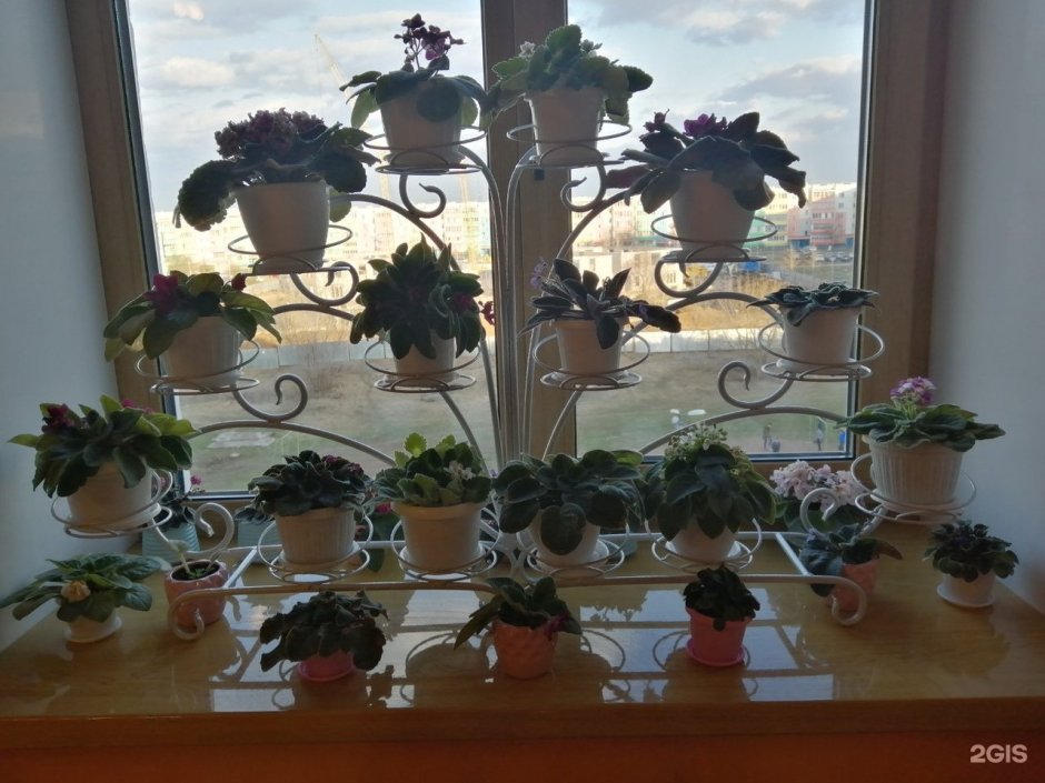 Подставка для фиалок напольная