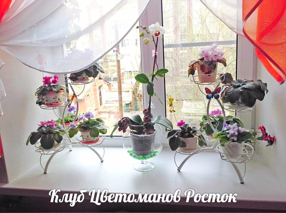 Стеллаж для цветов