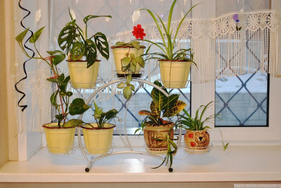 Стеллаж кедр наоконный