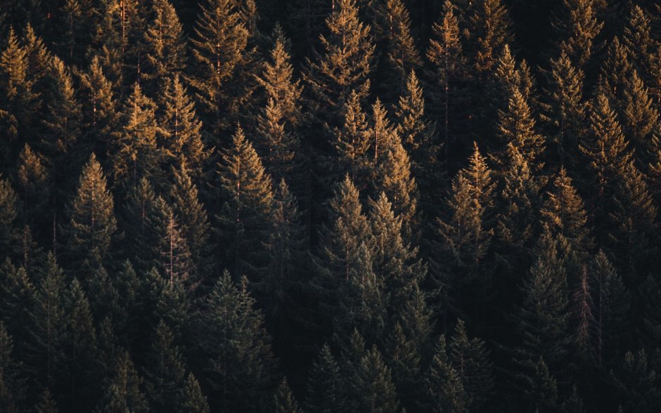 Кофе Эстетика