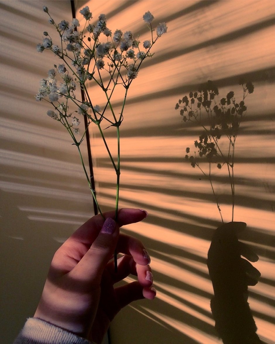 Коричневый фон Эстетика