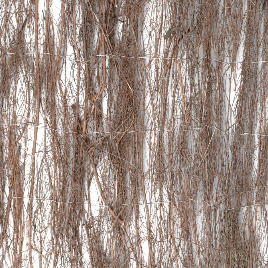 Изгородь декоративная натуральная Naterial «трость» 3x2 м