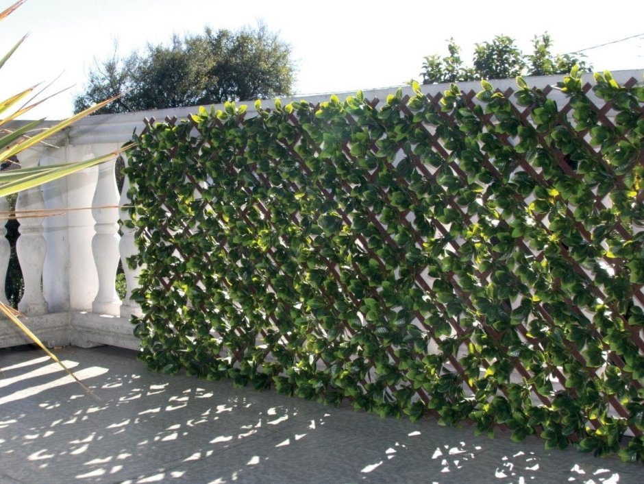 Artificial Hedge арка