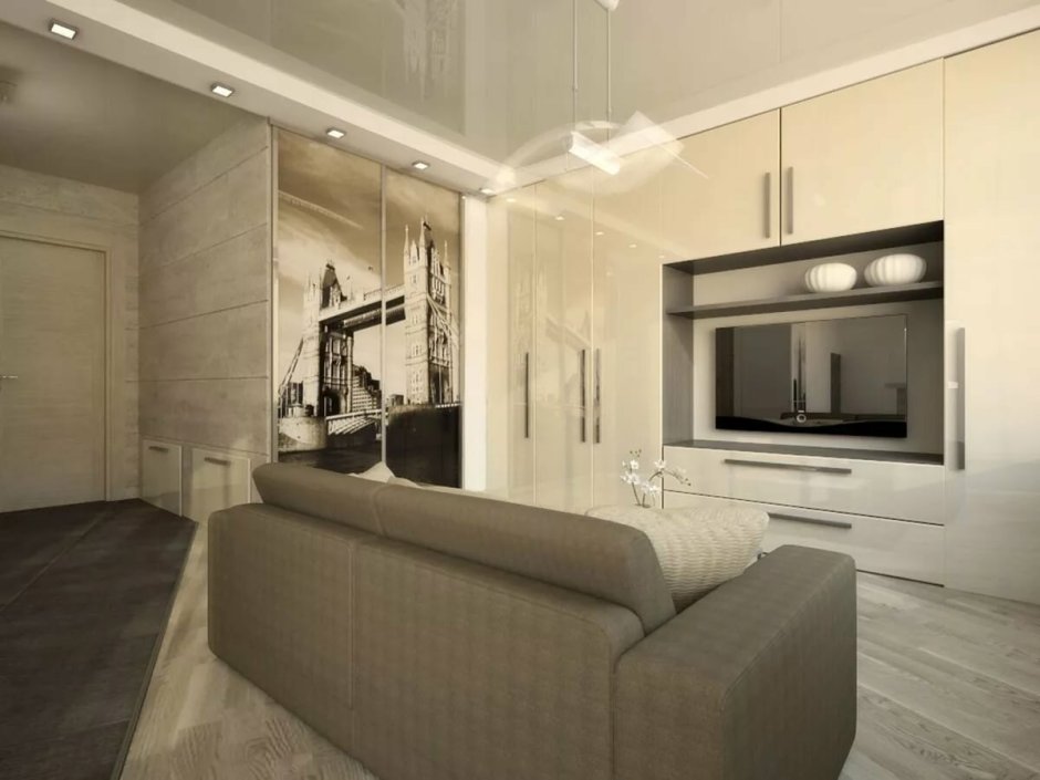 Прихожая Объединенная с гостиной