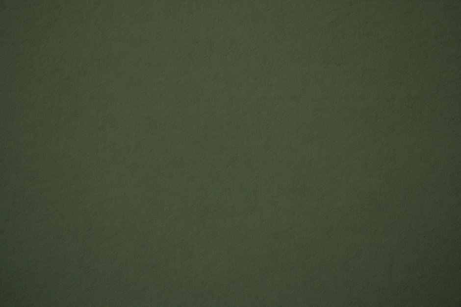 Светло салатовый фон