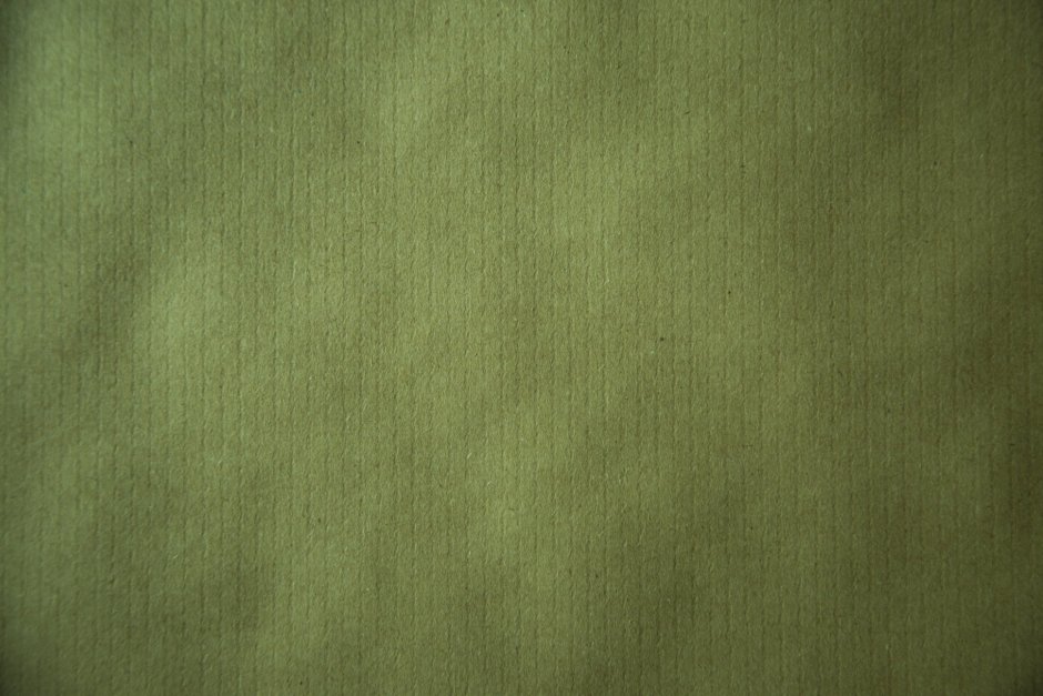 Фотообои оливковое дерево