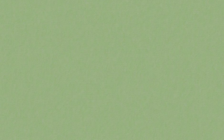 RAL 6009 зеленая ель