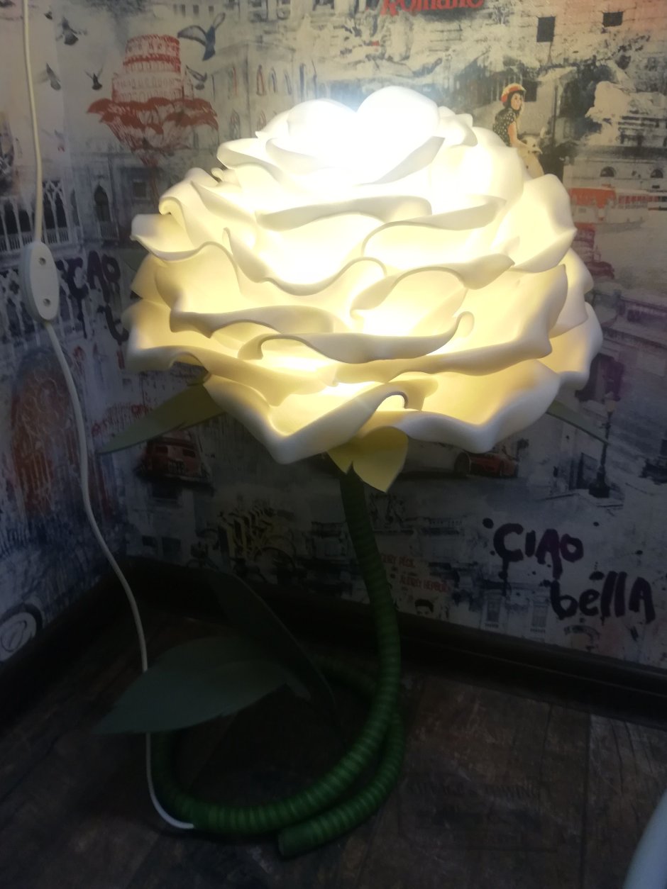 Розы дома освещение