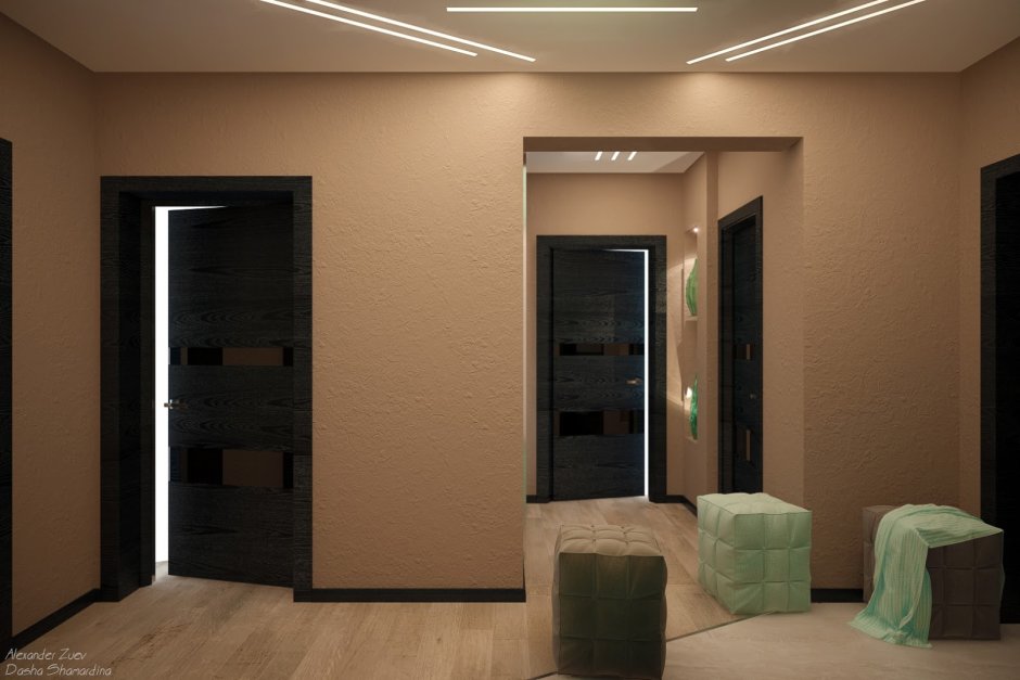 Цвет стен в прихожей с темными дверями