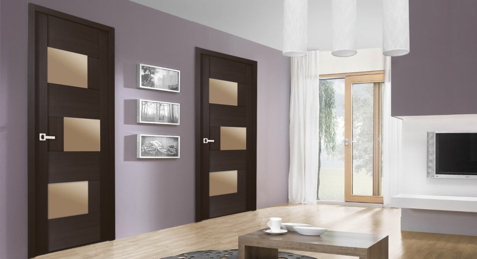 Темные царговые двери в интерьере