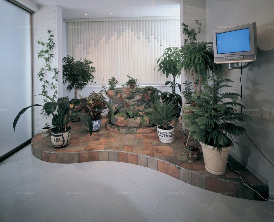 Цветочный уголок в квартире