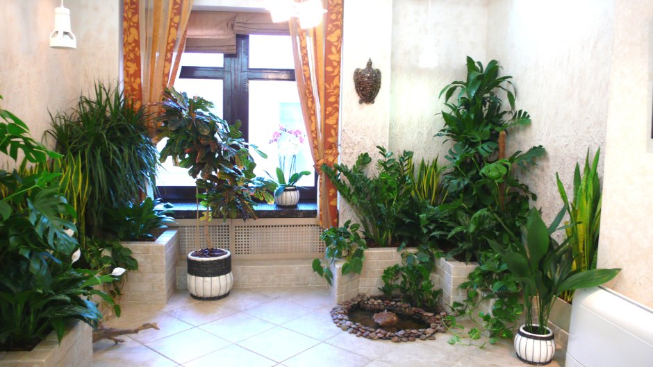 Цветы в интерьере дома