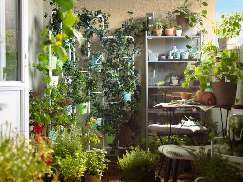 Цветочный уголок в комнате