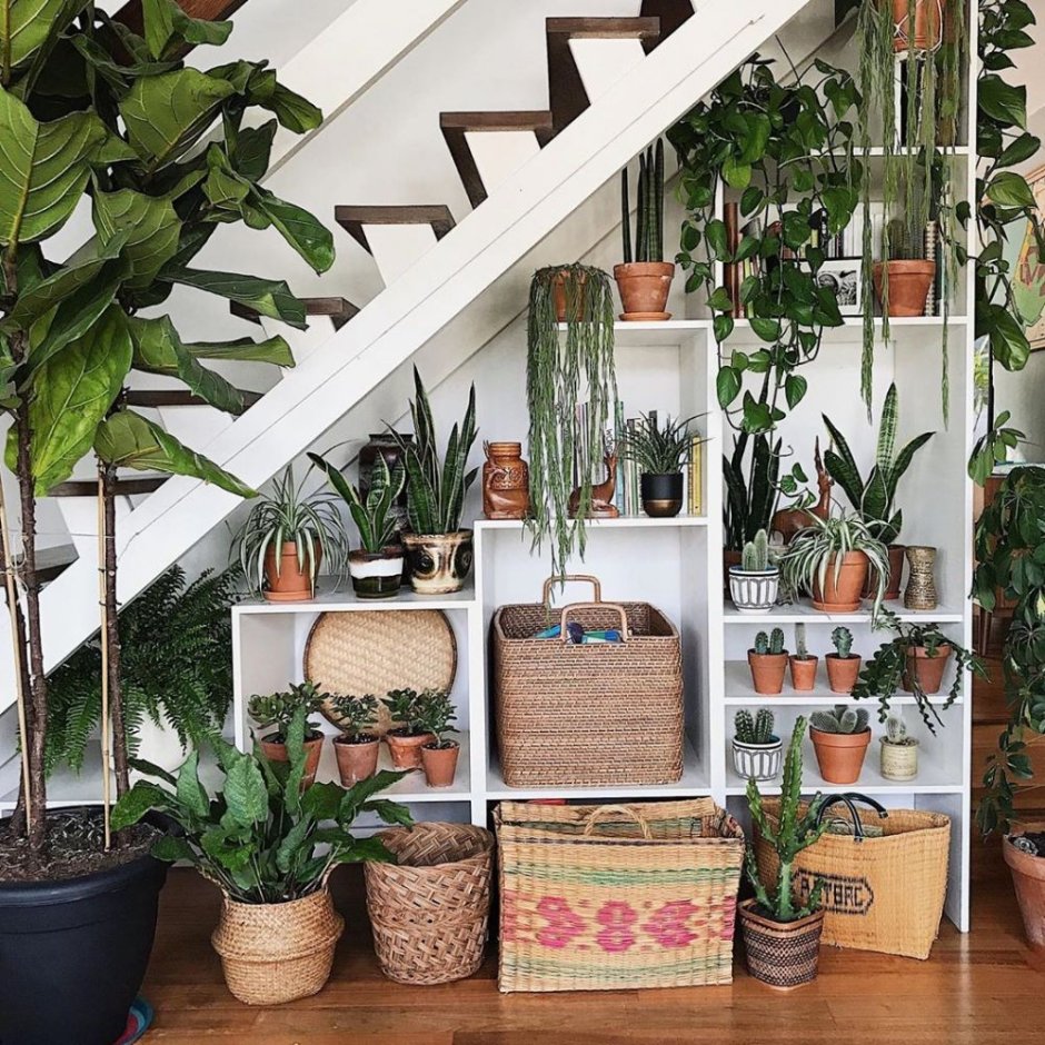 Зеленый уголок под лестницей в доме