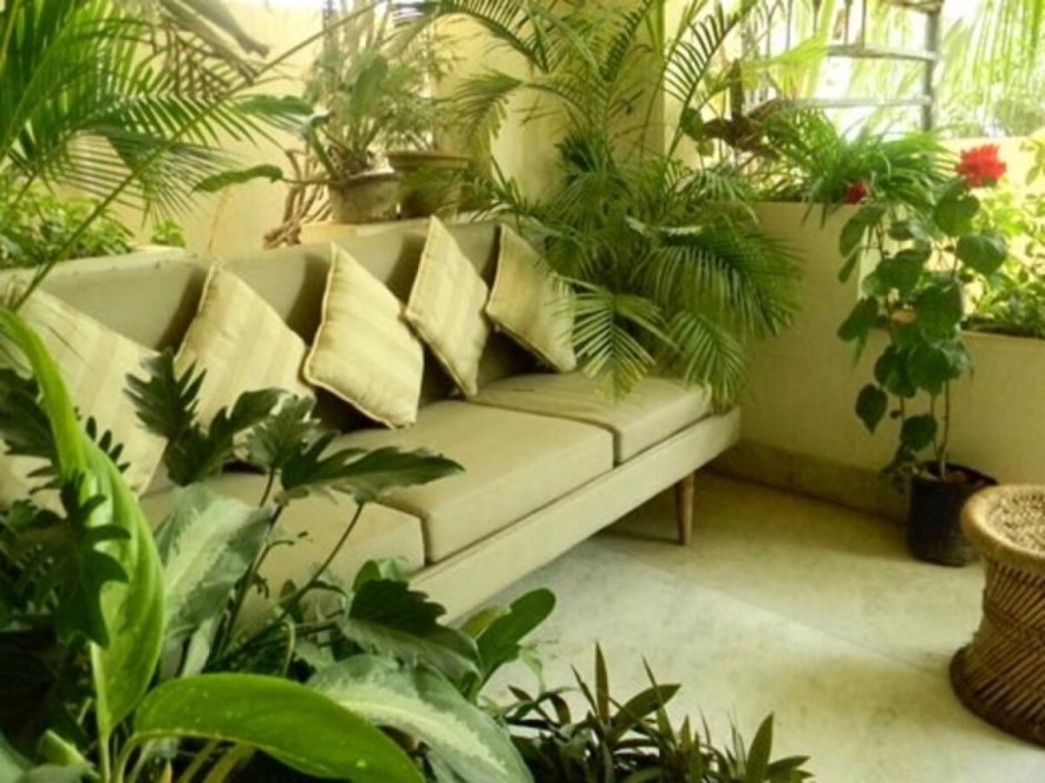 Зеленый уголок в комнате