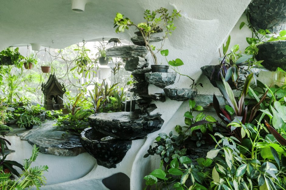 Зеленый уголок в школе