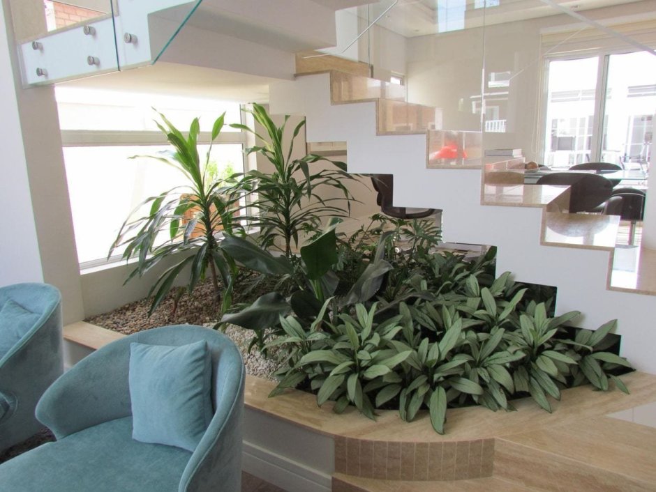 Зимний сад под лестницей