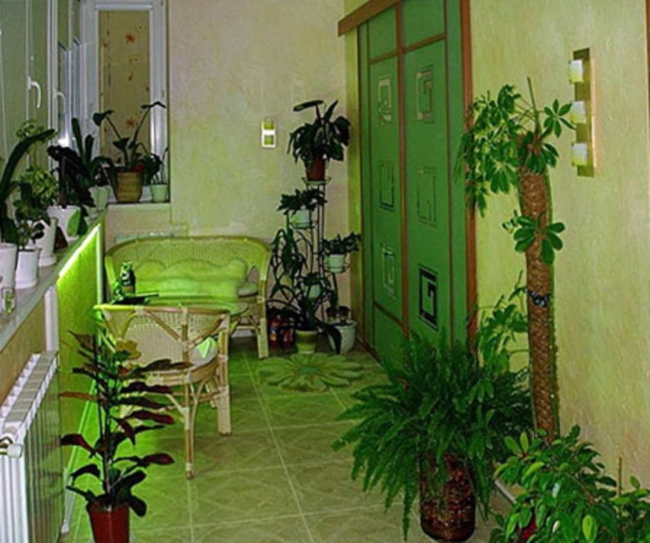 Комнатные растения в интерьере хрущевки