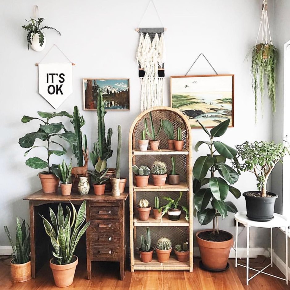 Идеи для зеленого уголка