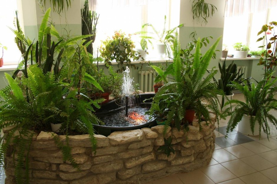 Комнатный садик