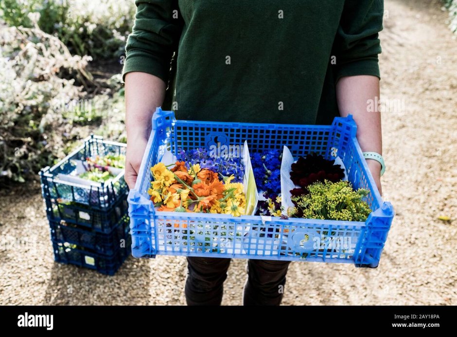Украшение клумб пластиковыми бутылками