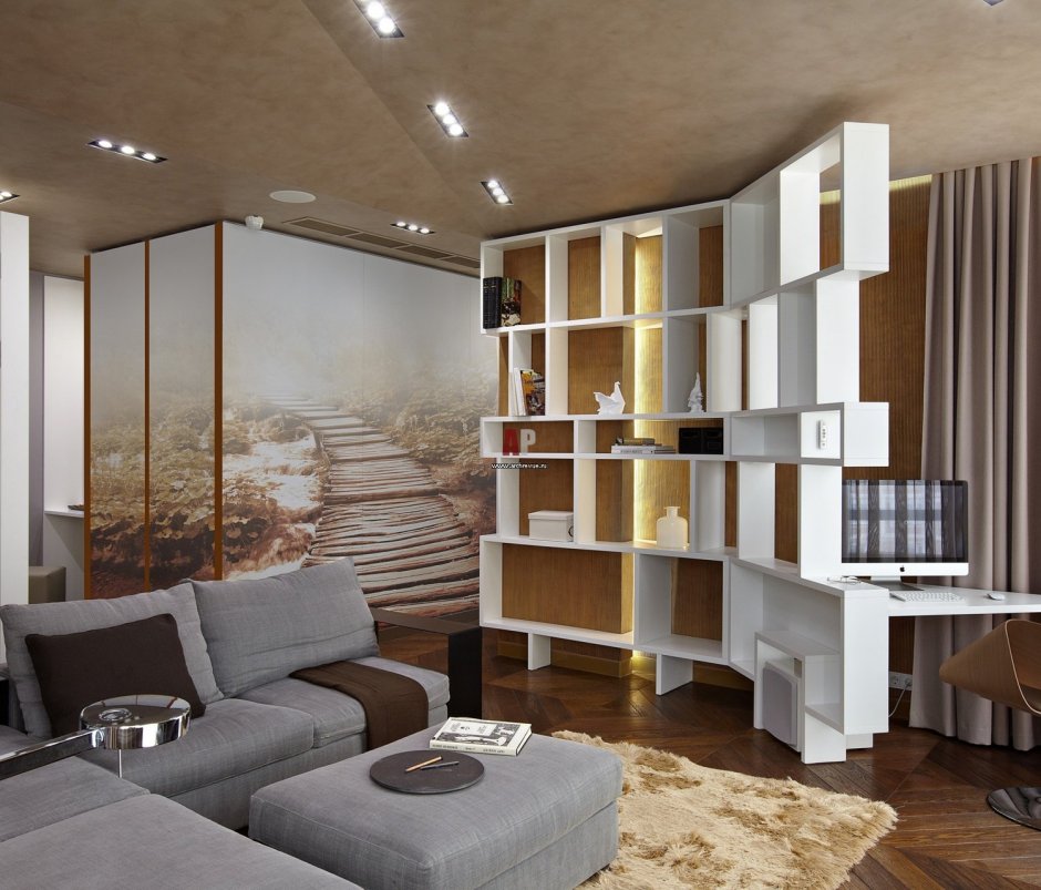 Перегородка в гостиной для зонирования