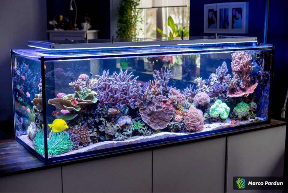 Большие морские аквариумы