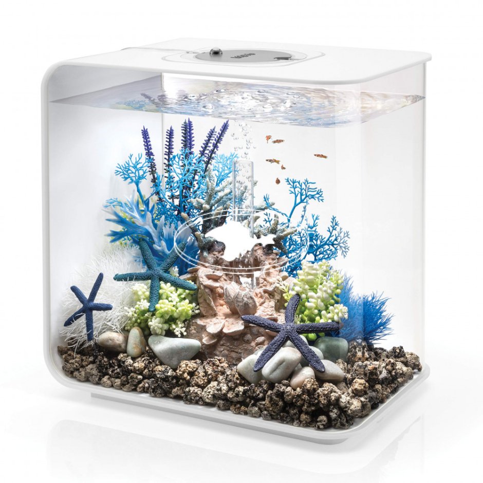 Аквариум BIORB Flow 15 led