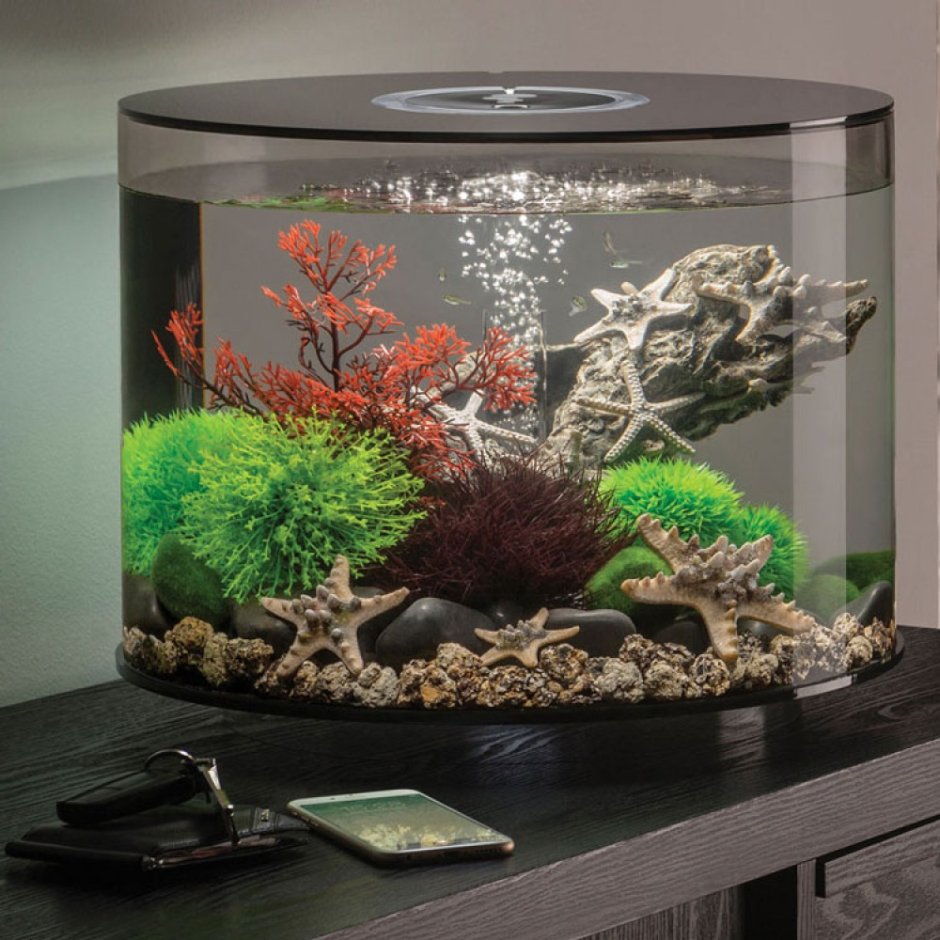 Аквариум BIORB tube 15 MCR черный