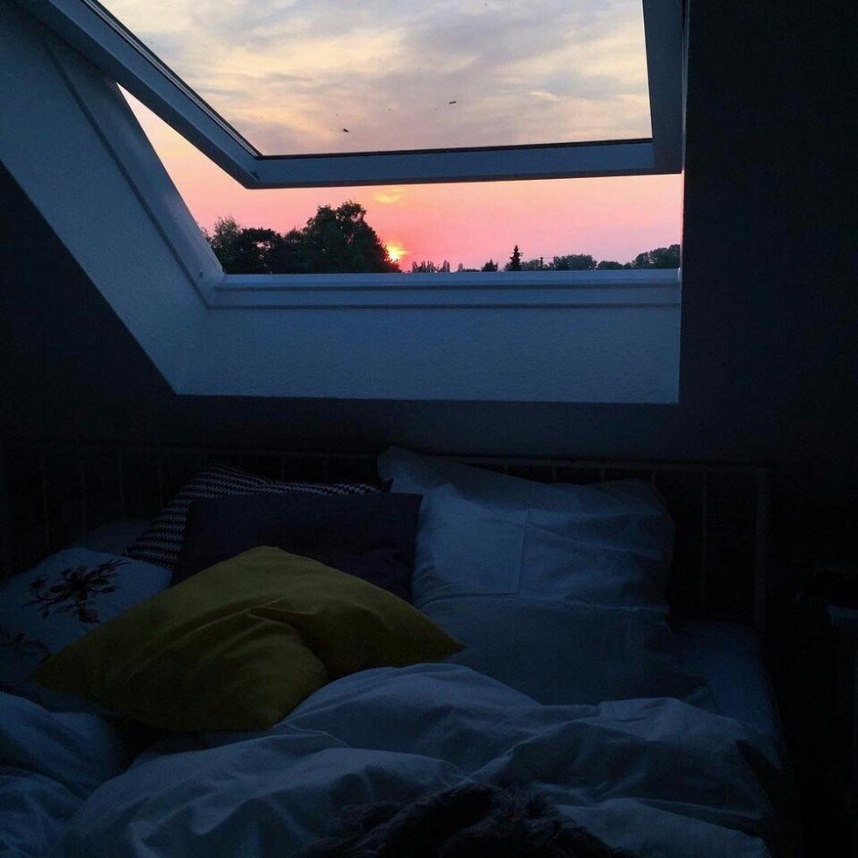 Аниме Реал лайф