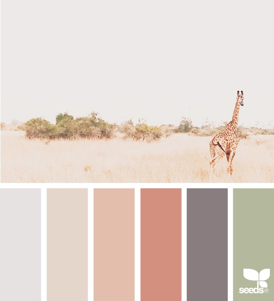 Пастельные тона палитра для стен