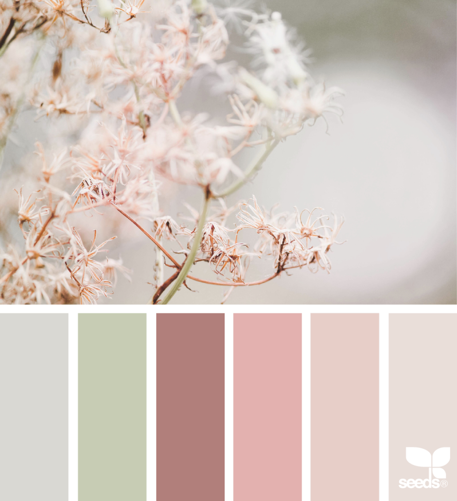 Цветовая гамма нюдовых тонах