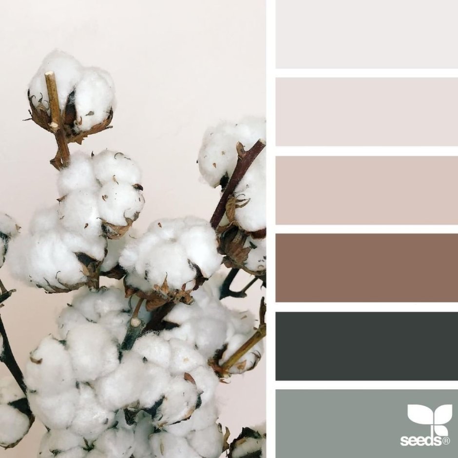 Палитра Seeds серый