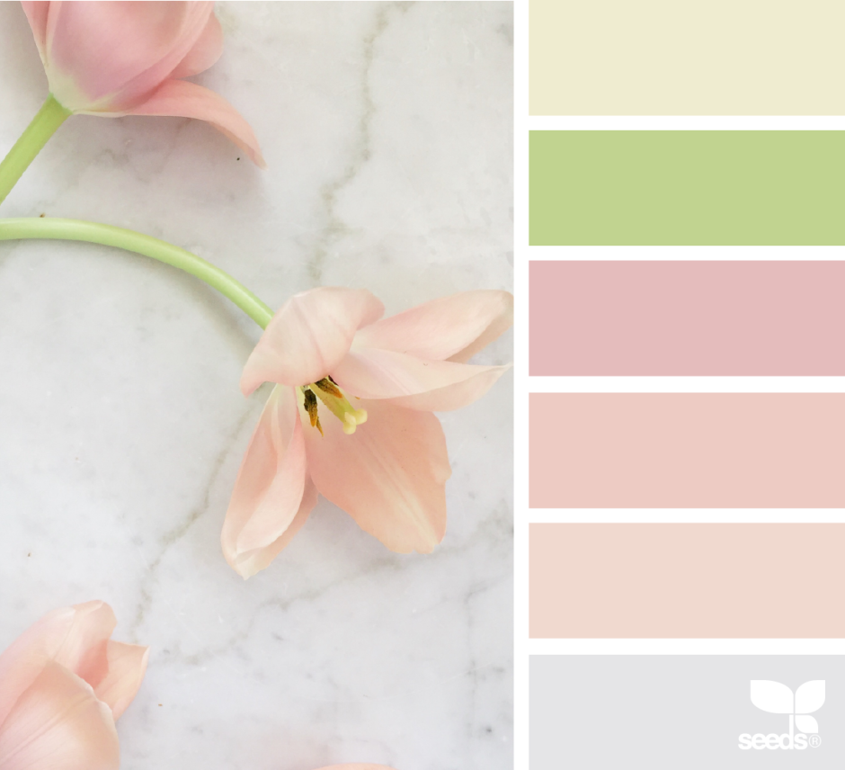 Палитра Бледных оттенков