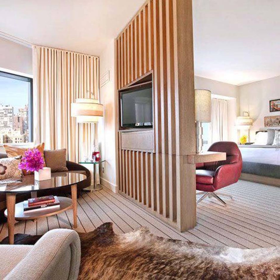 Перегородка с телевизором для зонирования