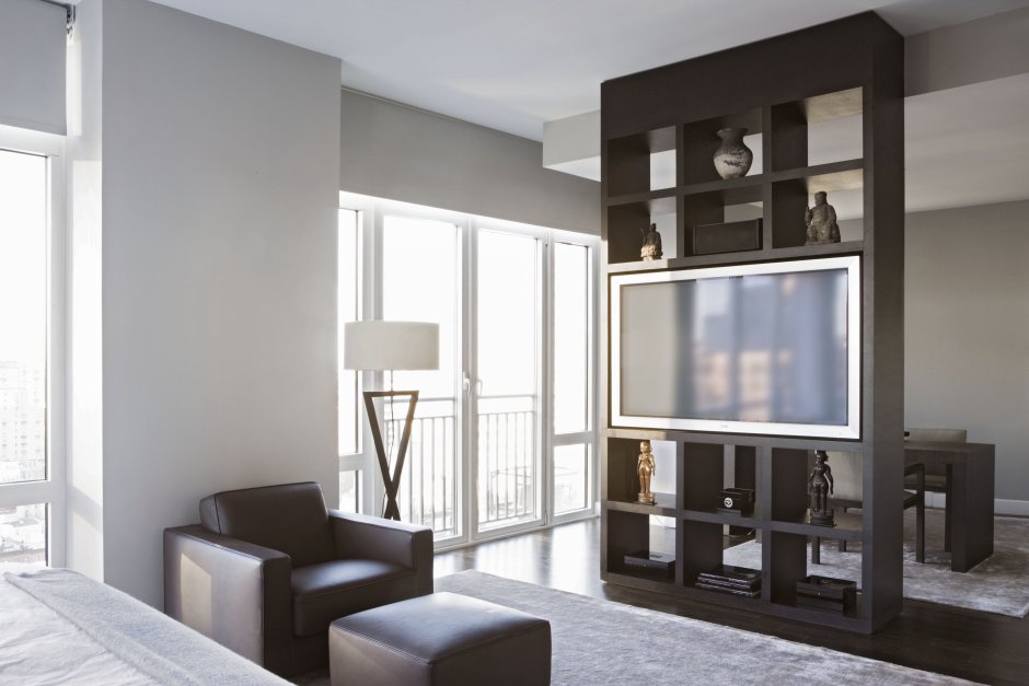 Перегородка с телевизором