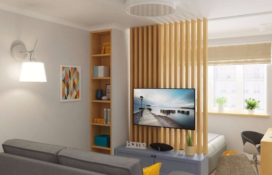 Перегородка с телевизором для зонирования