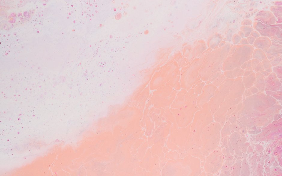 Цветы Минимализм