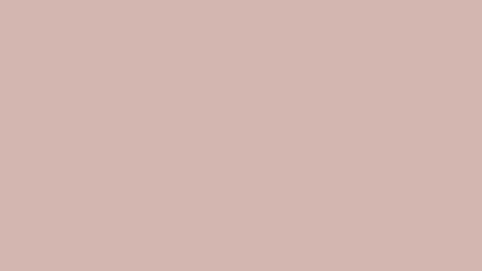 Pantone 691 c