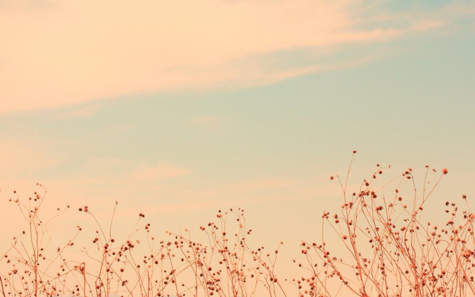 Крючки Gamakatsu LS-1100b