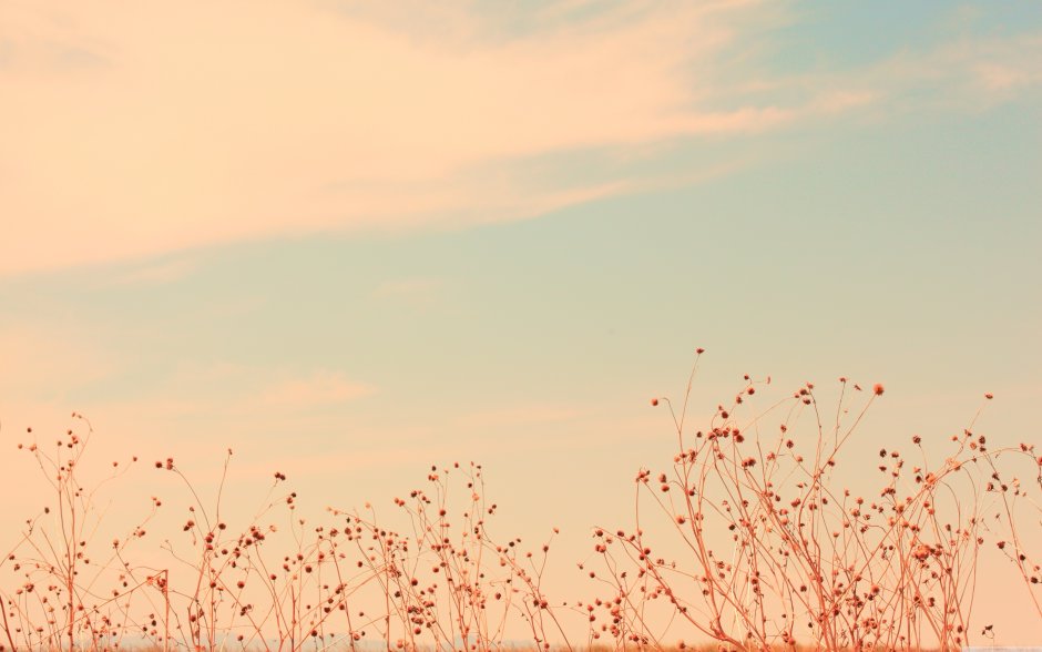 Фон пастельные тона