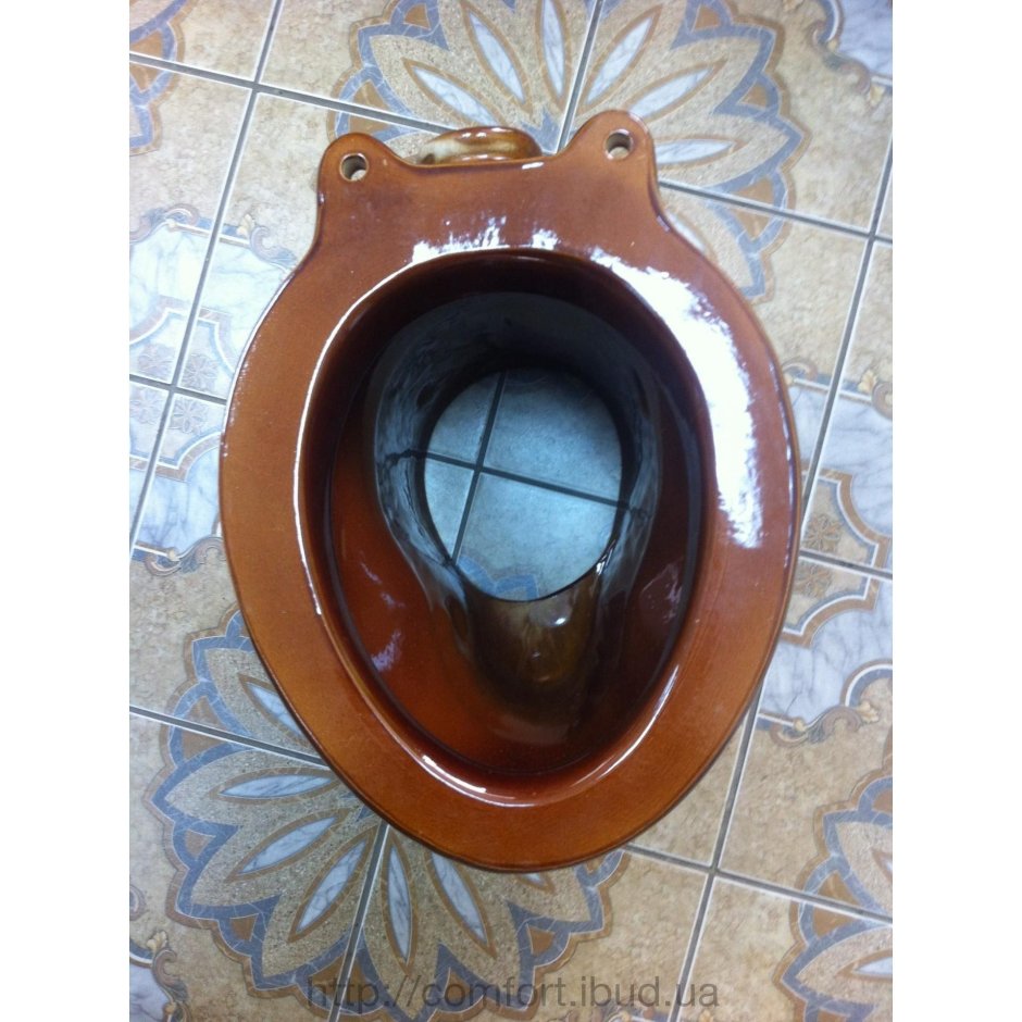 Унитаз без гидрозатвора